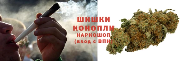 сатива Медногорск
