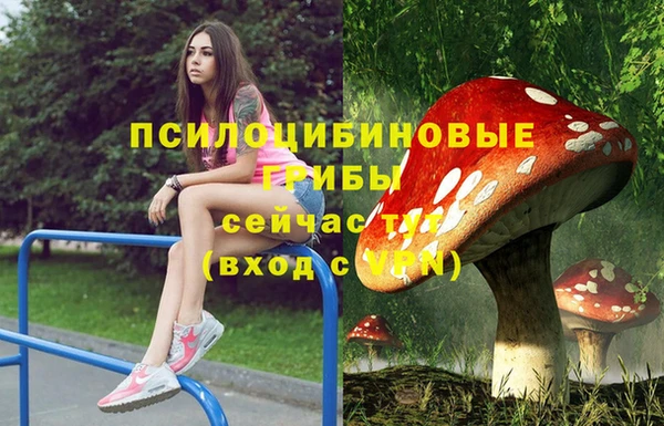 бошки Алексин