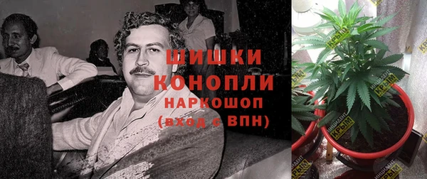 бошки Алексин