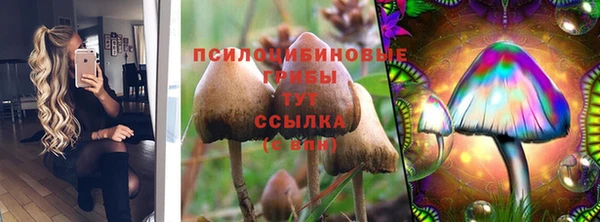 гидропоника Алзамай