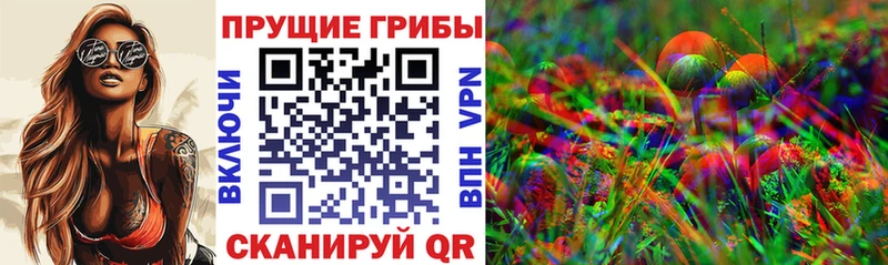 Псилоцибиновые грибы мицелий  Шатура 