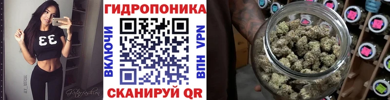 Бошки марихуана ГИДРОПОН Шатура